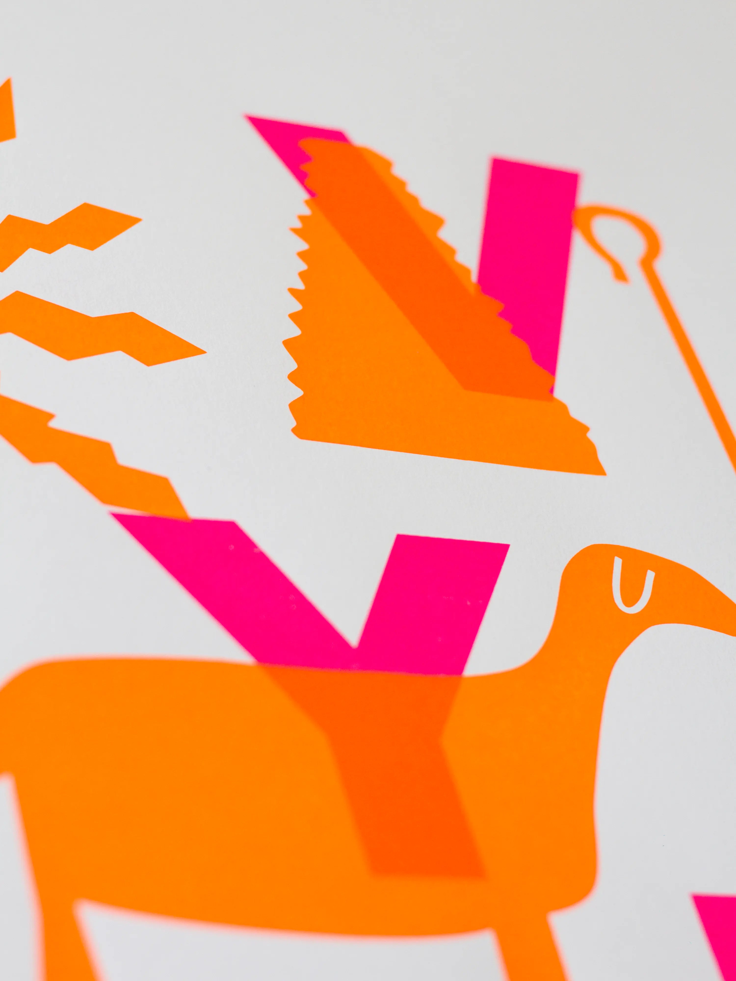 Aveyron rose fluo et orange fluo – Sérigraphie le manoir aux histoires