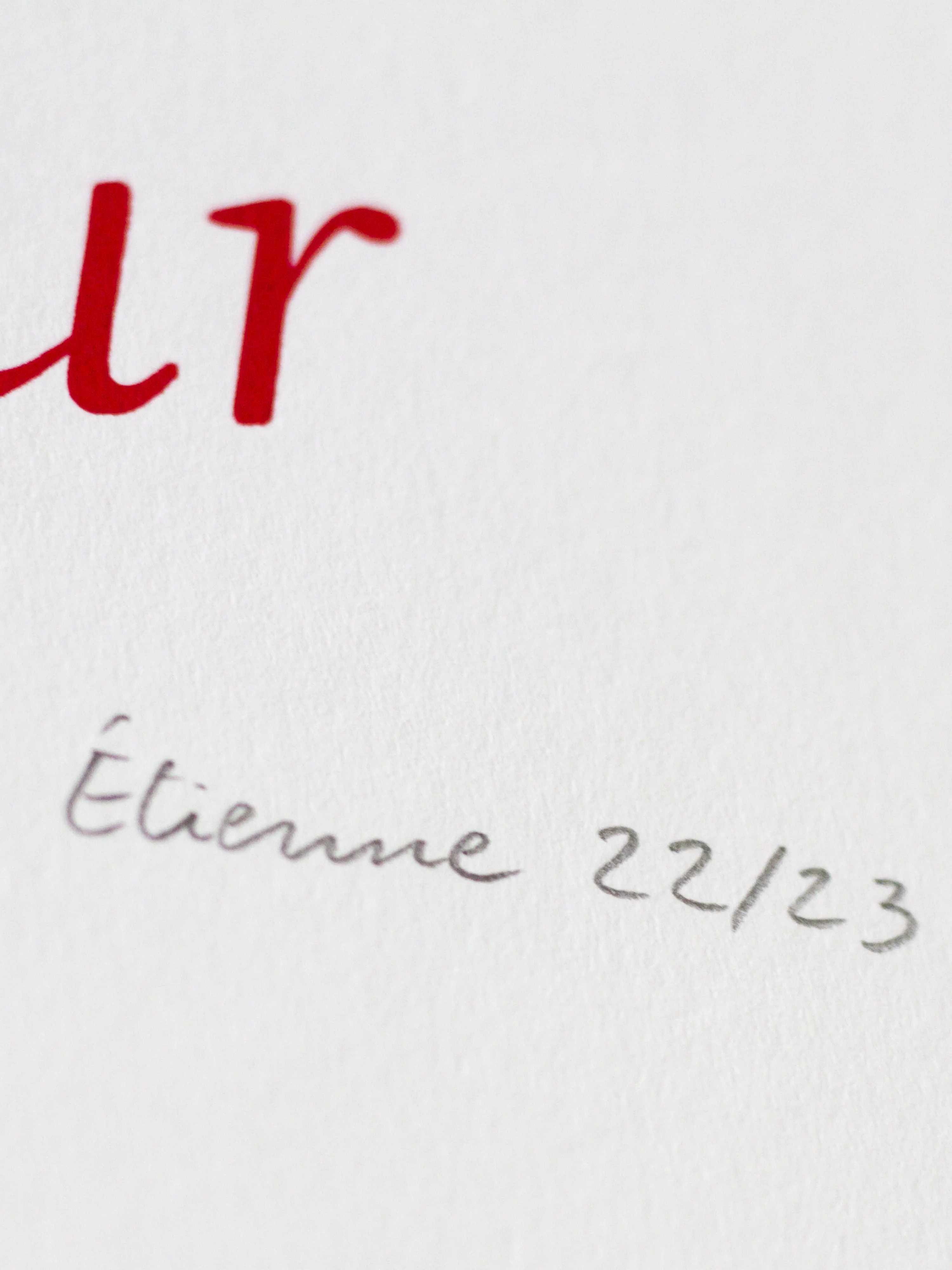 Forêt d'Amour – Sérigraphie le manoir aux histoires